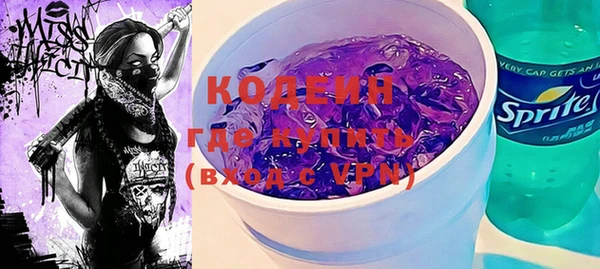 индика Карталы