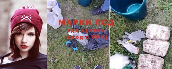 индика Карталы