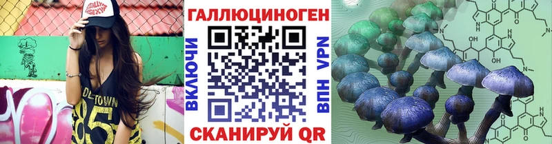 Псилоцибиновые грибы GOLDEN TEACHER Купить где Ноябрьск
